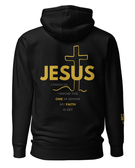 From Shame to Shine Hoodie
