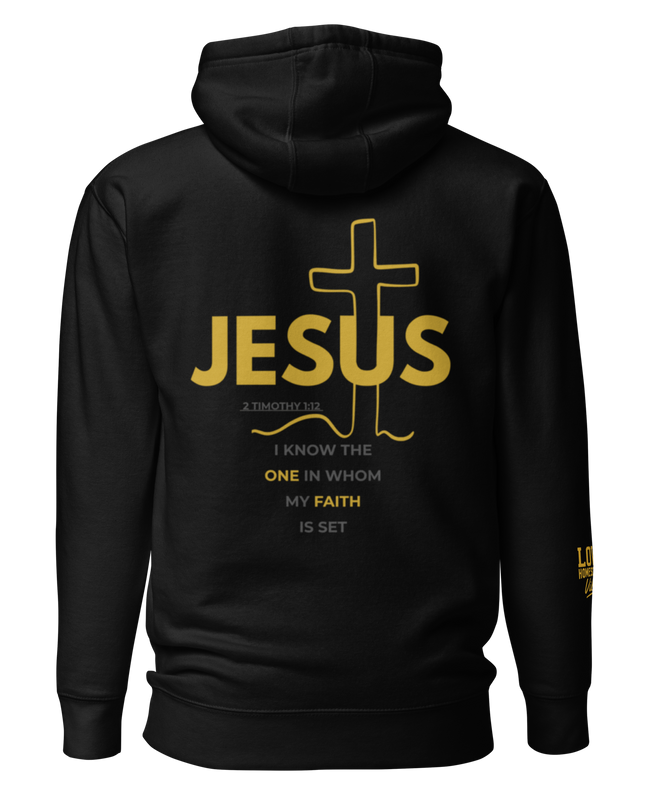 From Shame to Shine Hoodie