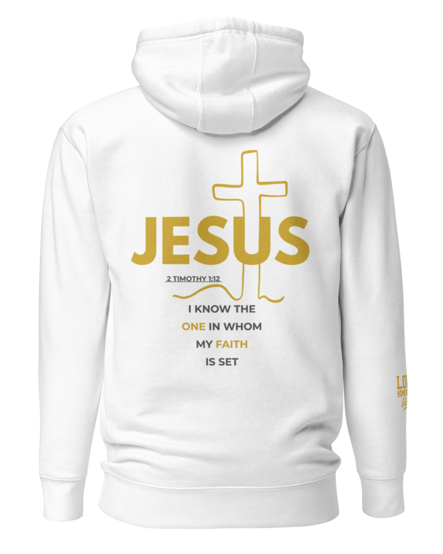 From Shame to Shine Hoodie